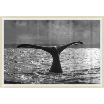 Whale Metallic Print