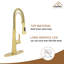 Spring Neck Standard Kitchen Faucet with Dual-Function spray head and Deck Plate-76655466