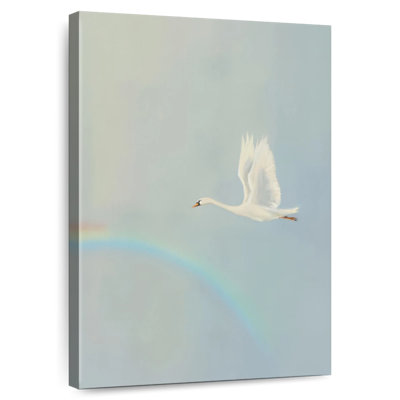 Flying To The Rainbow