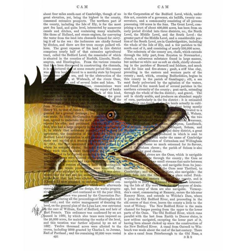 Art sur toile tendue Astoria Grand Fab Funky Gallery: Great Hog Fish, H 35 po x l 28 po