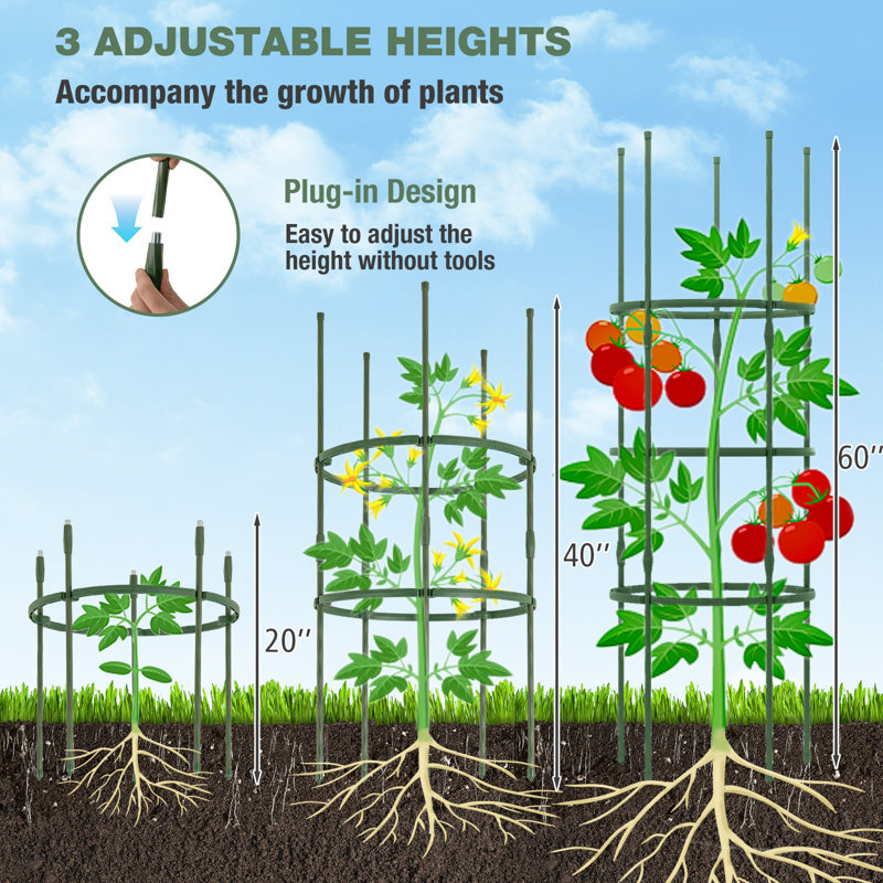 Paquet de 3, cage de soutien pour plante à treillis de jardin de 60 po avec taille réglable pour plantes