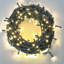 LED Fairy String Lights, Mains Powered, Green Cable, 8 Modes, Auto Timer, Memory Function for Indoor and Outdoor Christmas Decor-244878521-244878523