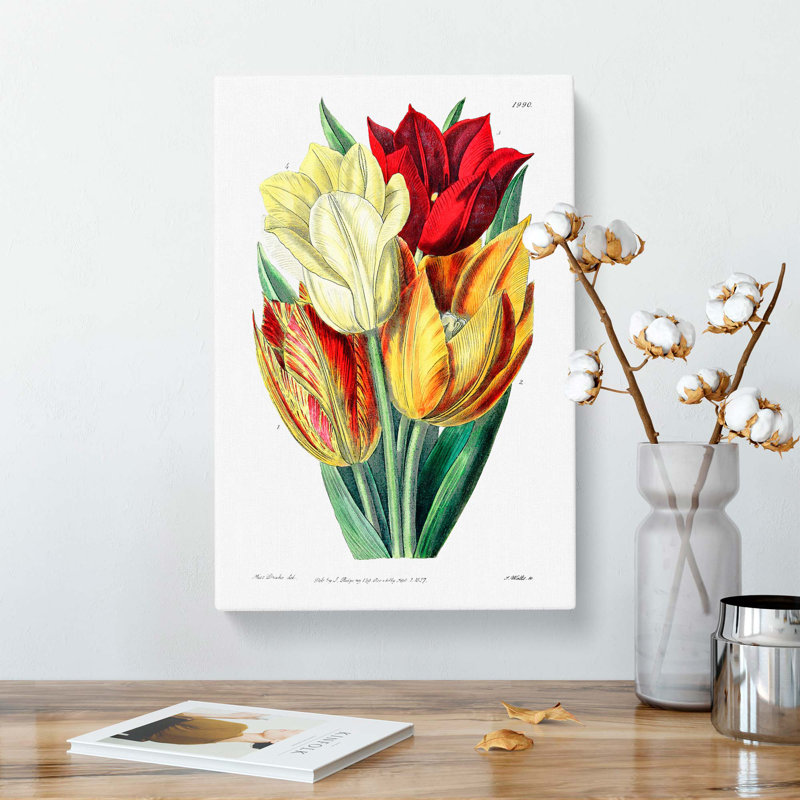 Rough-Stemmed Tulips - Wrapped Canvas, 76cm H x 50cm W x 3cm D