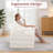 Folding Sofa Bed, Convertible Sleeper Chair with Armrest, Floor Futon Couch with Pillow, Sleeper Single Chair for Adults, Couches for Living Room, Small Couches for Small Spaces-803736655