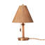 Delphine Mini Table Lamp