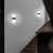 White Light