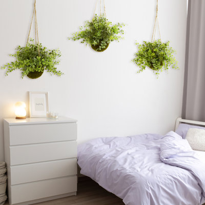 Plante suspendue eucalyptus, maidenhair et baies dans le panier