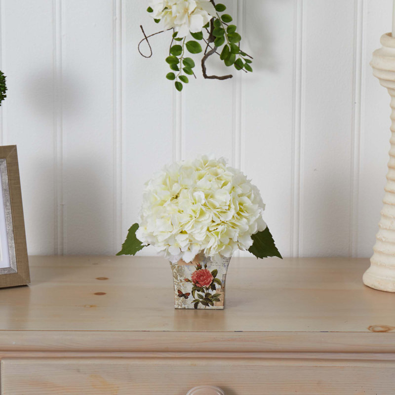 Arrangement floral d'hortensias en pot, Crème