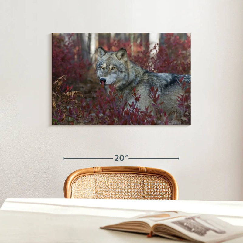 Brampt Gray Timber Wolf, 16" H x 24" W