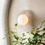 Freeney 1 - Light Armed Sconce