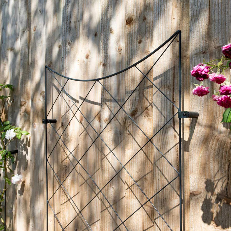 Treillis mural en croissant RHS 61 x 99 cm, support pour plantes grimpantes en acier noir mat