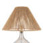 Glass Table Lamp