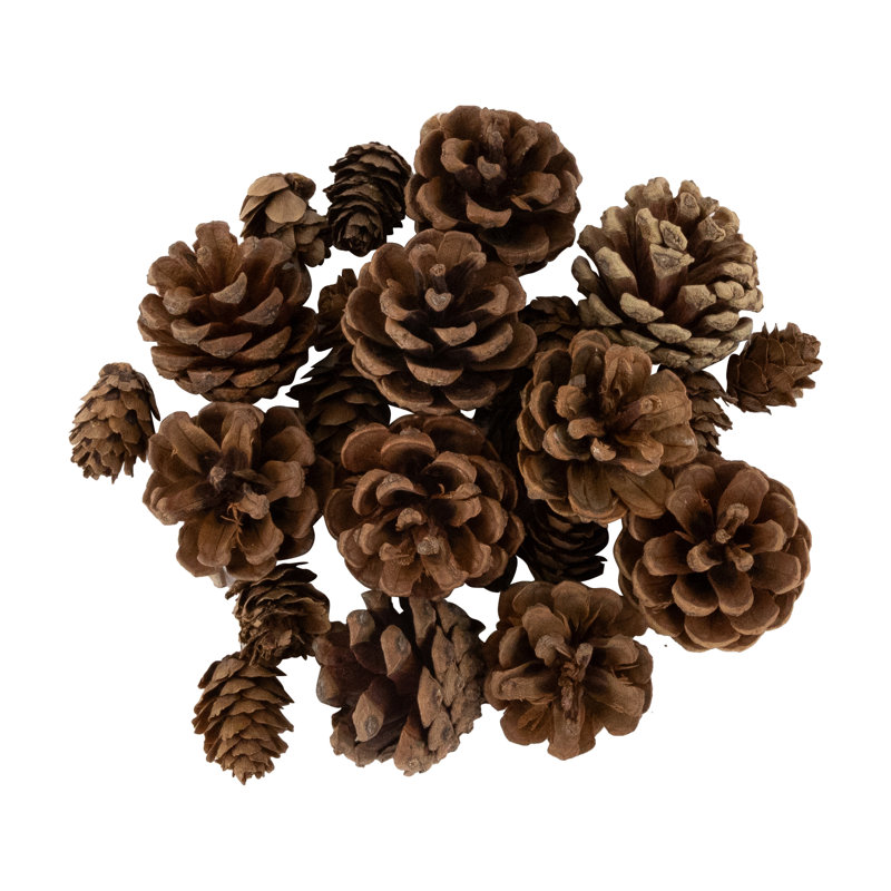 Ornaments Pinecones And Stars Christmas Decorations - 6"