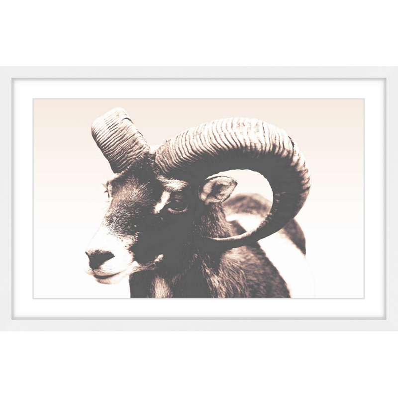 Parvez Taj - Single Picture Frame Print, 61cm H x 91cm W x 3.81cm D