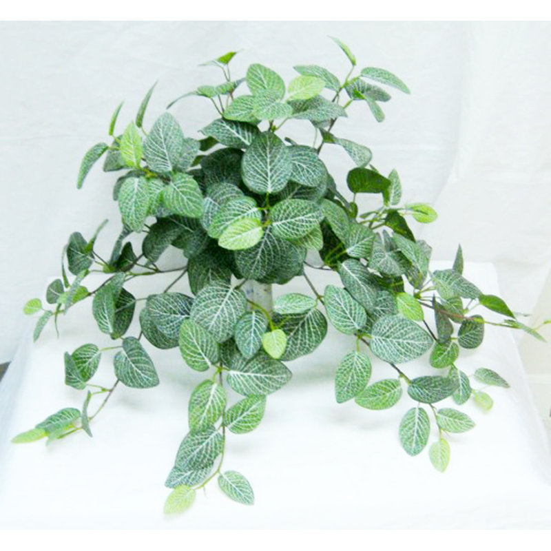 Buisson suspendu Real Touch Fittonia, H 21 po x l 20 po x P 4 po