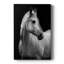 Drame de la jument blanche - galerie Cavas sur mesure-1868142720
