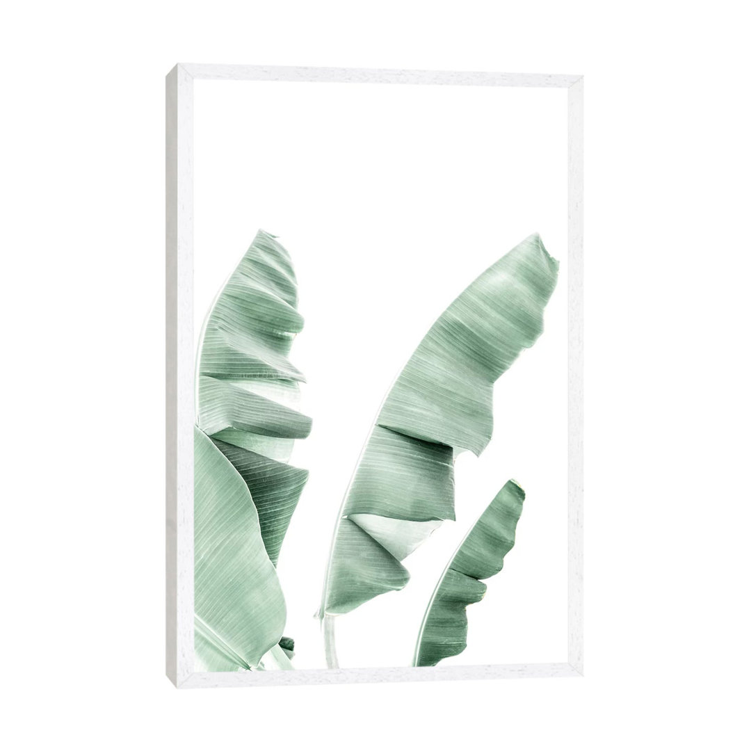 Banana Leaf von Sisi & Seb - Gallery-Wrapped Canvas Giclée on Canvas