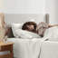 Ensemble de draps Luxury Collection Classic-106306937-106306956