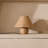 Rattan Handmade Bamboo Table Lamp