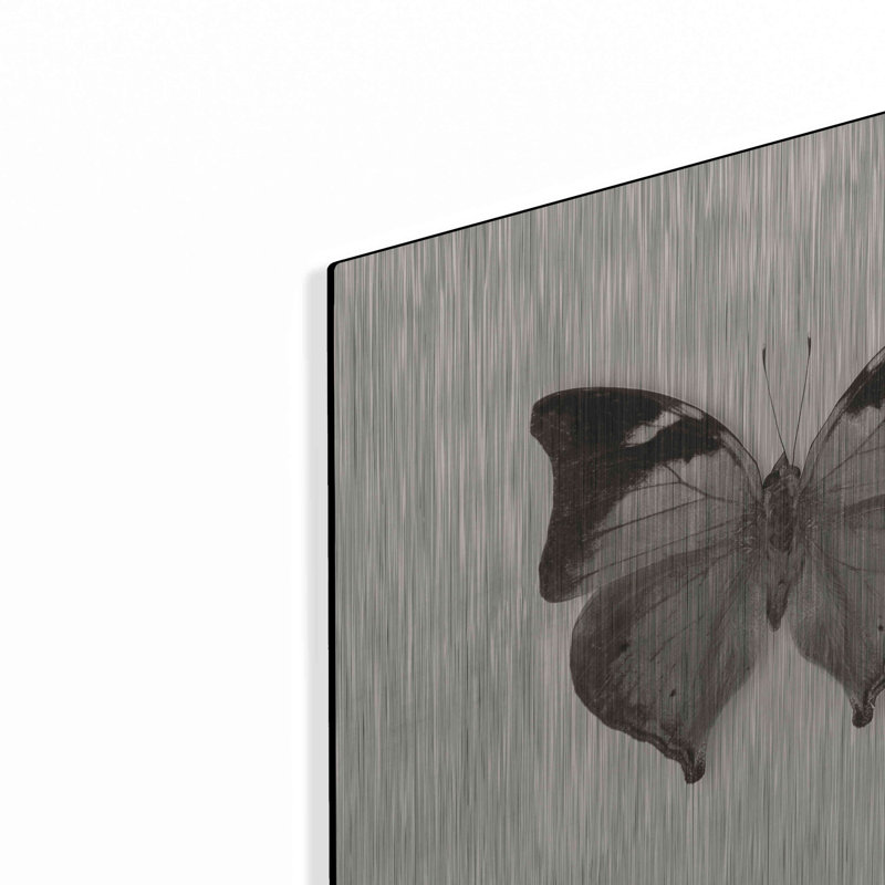 «Butterfly VII BW» par Debra Van Swearingen, H 12 po x l 12 po