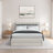Channel Tufted Bed with Storage-602469905-602469903