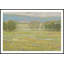 «Summer Pasture I» par Stephen Calcasola - reproduction d'art encadrée-1377222891-1421618151