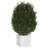 Lisbon Wood Pot Planter-92617560-92617561