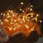 Hemphill Outdoor 100 - Bulb 38.65'' Solar Powered LED Fairy String Light-1783339786