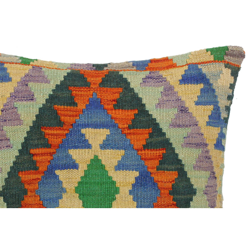 Octavio Geometric Throw Pillow