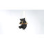 Ours noir suspendu
