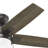 Hunter 44 inch Anisten Ceiling Fan with LED Light Kit and Pull Chain