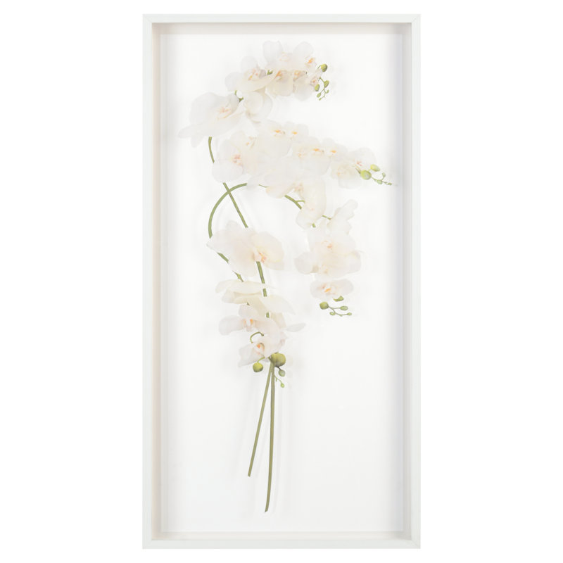 Study Of Orchids I Print