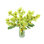 Orchids And Leaves In A Glass Vase