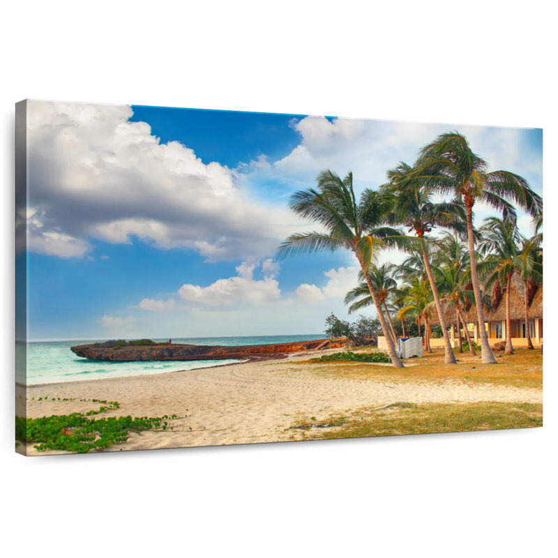Gillard Palms In Cuban Beach