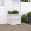 Wooden Kogut Flower Box-405243215-405712114-450382482
