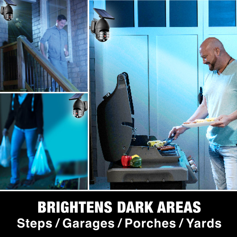 LED Solar Power Spot Light with Motion Sensor, Black