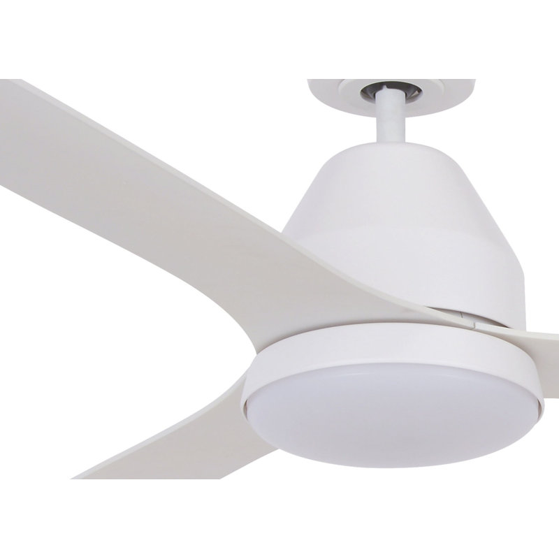 Aalyna 142cm Ceiling Fan with Light Kit