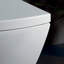 1.28 Gallons GPF High Efficiency One-Piece Toilet