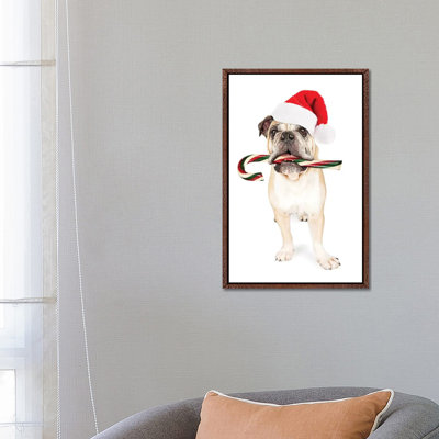 Christmas Bulldog Eating Candy Cane by Susan Richey - Gallery-Wrapped Canvas Giclée on Canvas