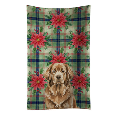 Brown Newfoundland Christmas PoinsettIas Kitchen Towel