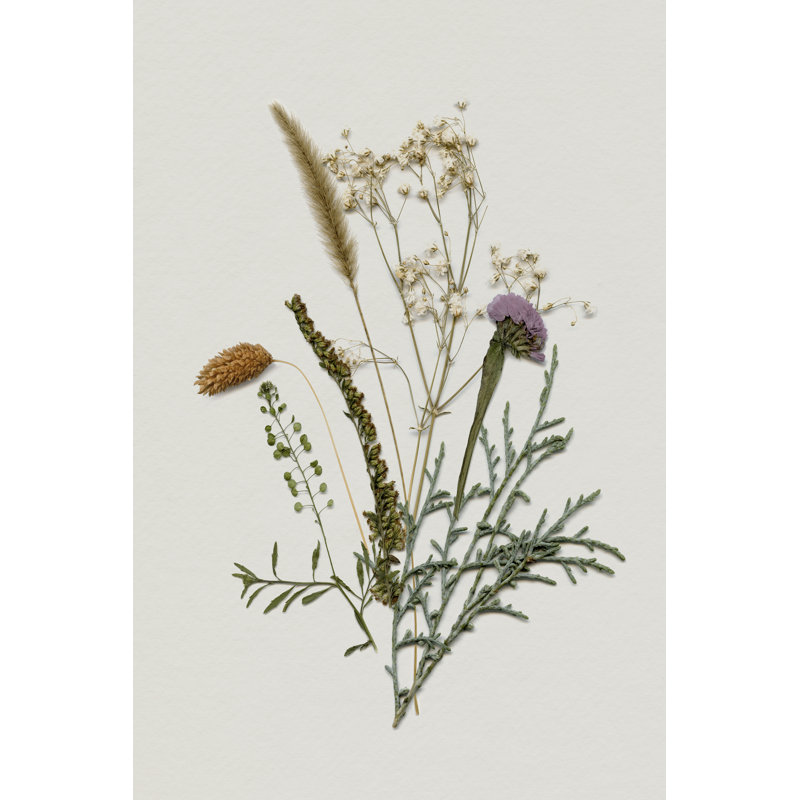 Pressed Autumn Blooms II par Victoria Barnes, H 48 po x l 32 po