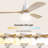 Jazyra 52'' Ceiling Fan with LED Lights