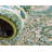 Kalf Abstract Indoor Rug-31820905