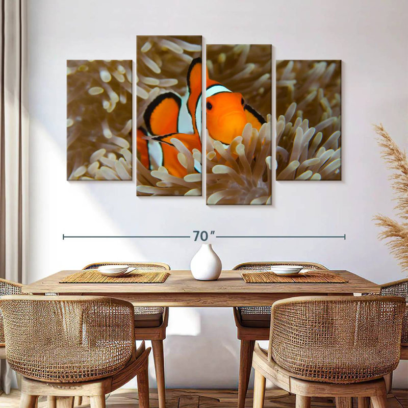 Bramem Wakatobi Anemonefish Pet