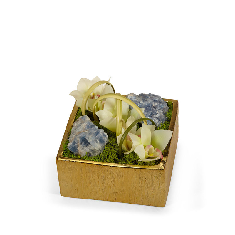Orchid Arrangement in Planter