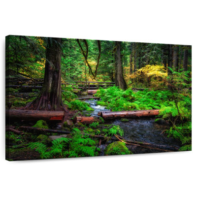 Alvord Willamette National Forest Stream