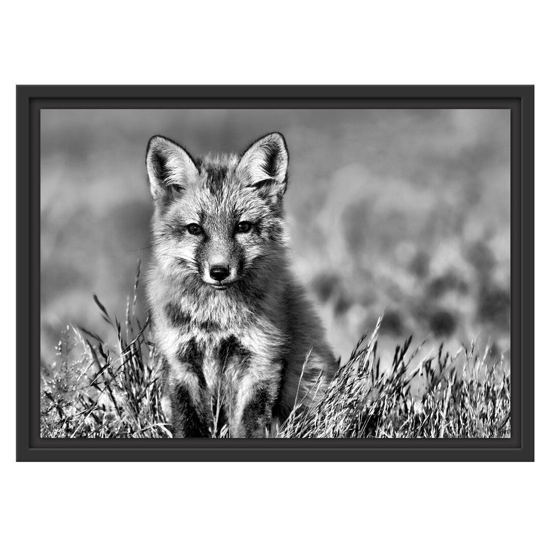 Gerahmtes Wandbild Kleiner Fuchs