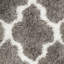 Barcelona Shag Hand-Tufted Silver/Ivory Area Rug-13800705
