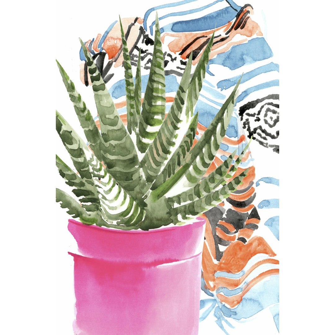 Leinwandbild Zebra Succulent II