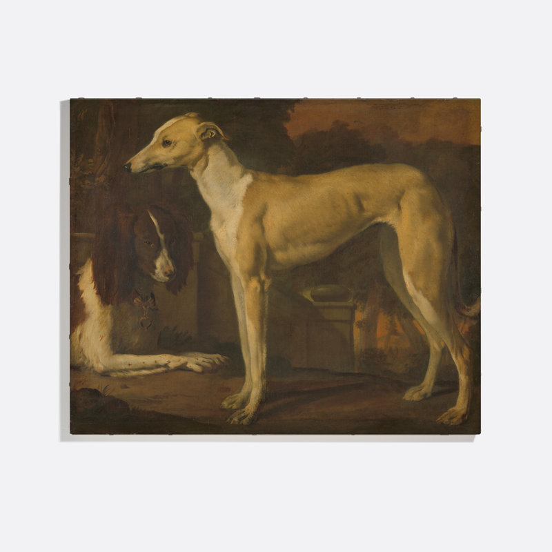 Portrait Of A Greyhound And A Partridge Dog Print by Jan Weenix